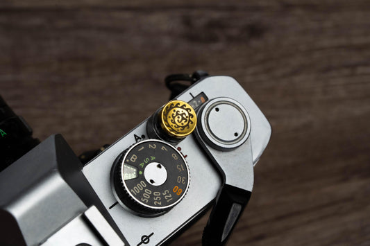 Hawaii Editie Ontspanknop - Oceaan Tentakel & Zeewier