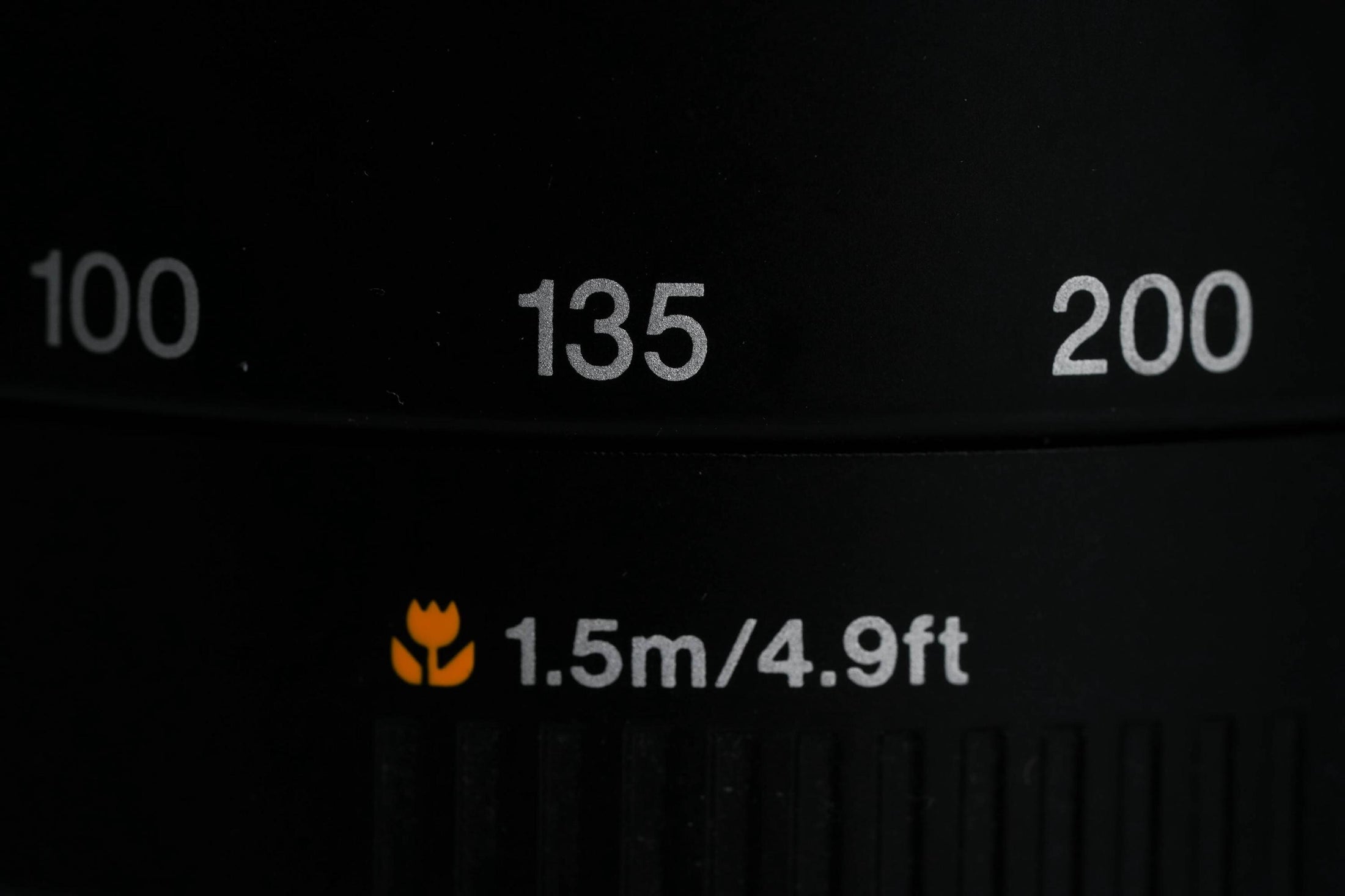 Canon EF 75-300mm f/4-5.6 II Telephoto Zoom – Bring the World Closer