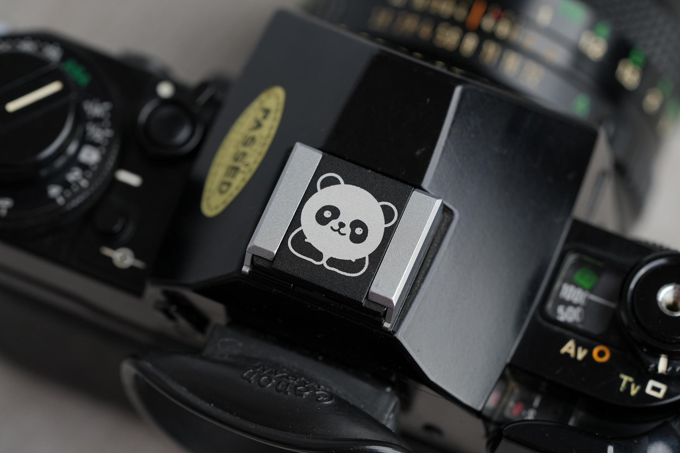 Panda Flitsschoen: Give your camera a cute and unique touch!