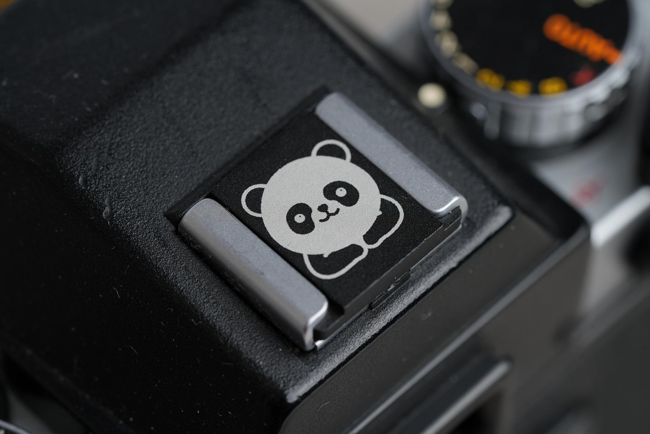 Panda Flitsschoen: Give your camera a cute and unique touch!