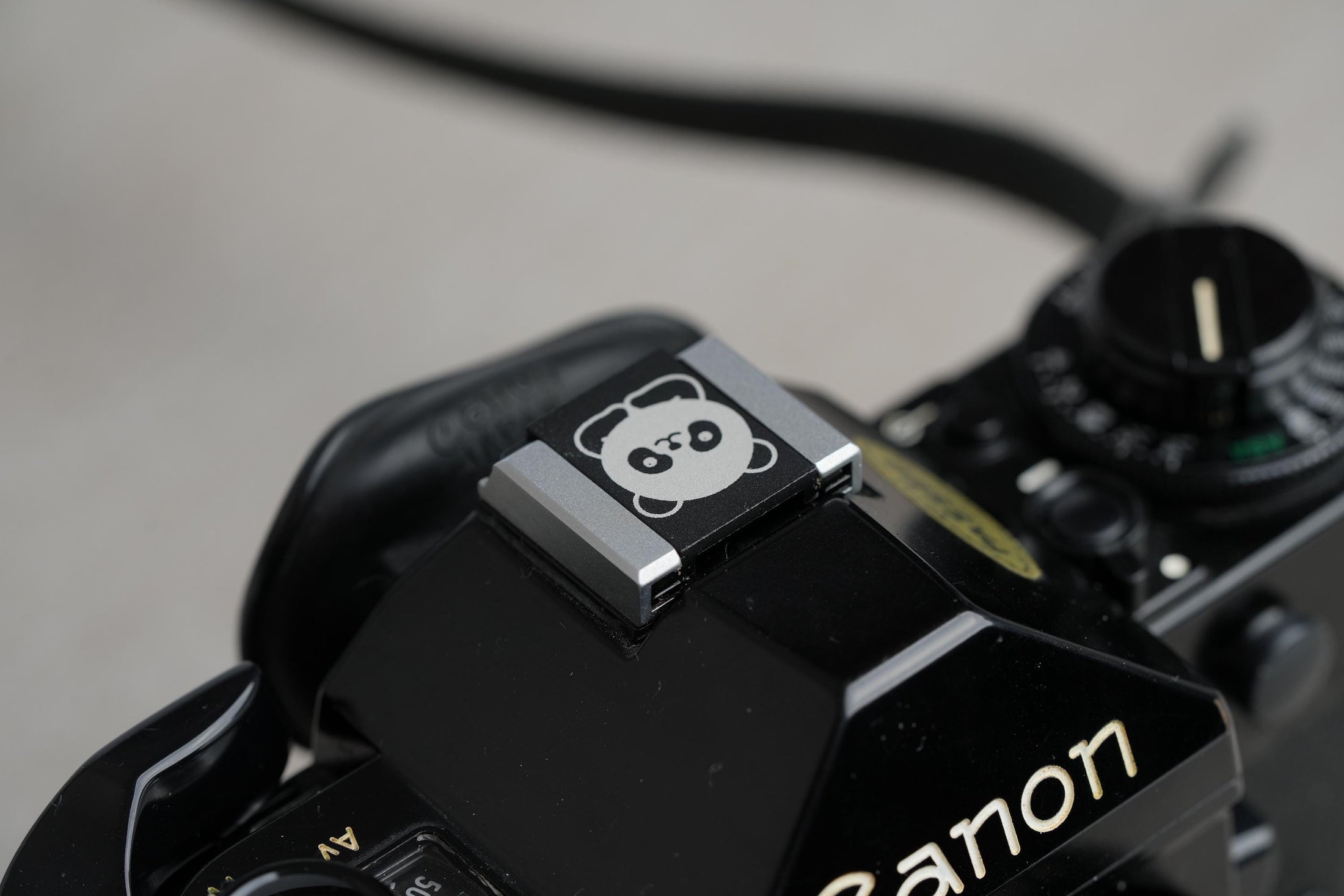 Panda Flitsschoen: Geef je camera een schattige en unieke touch!