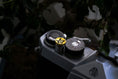 Load image into Gallery viewer, Turtle Design Brass Relax Button - Hawaii Edition
