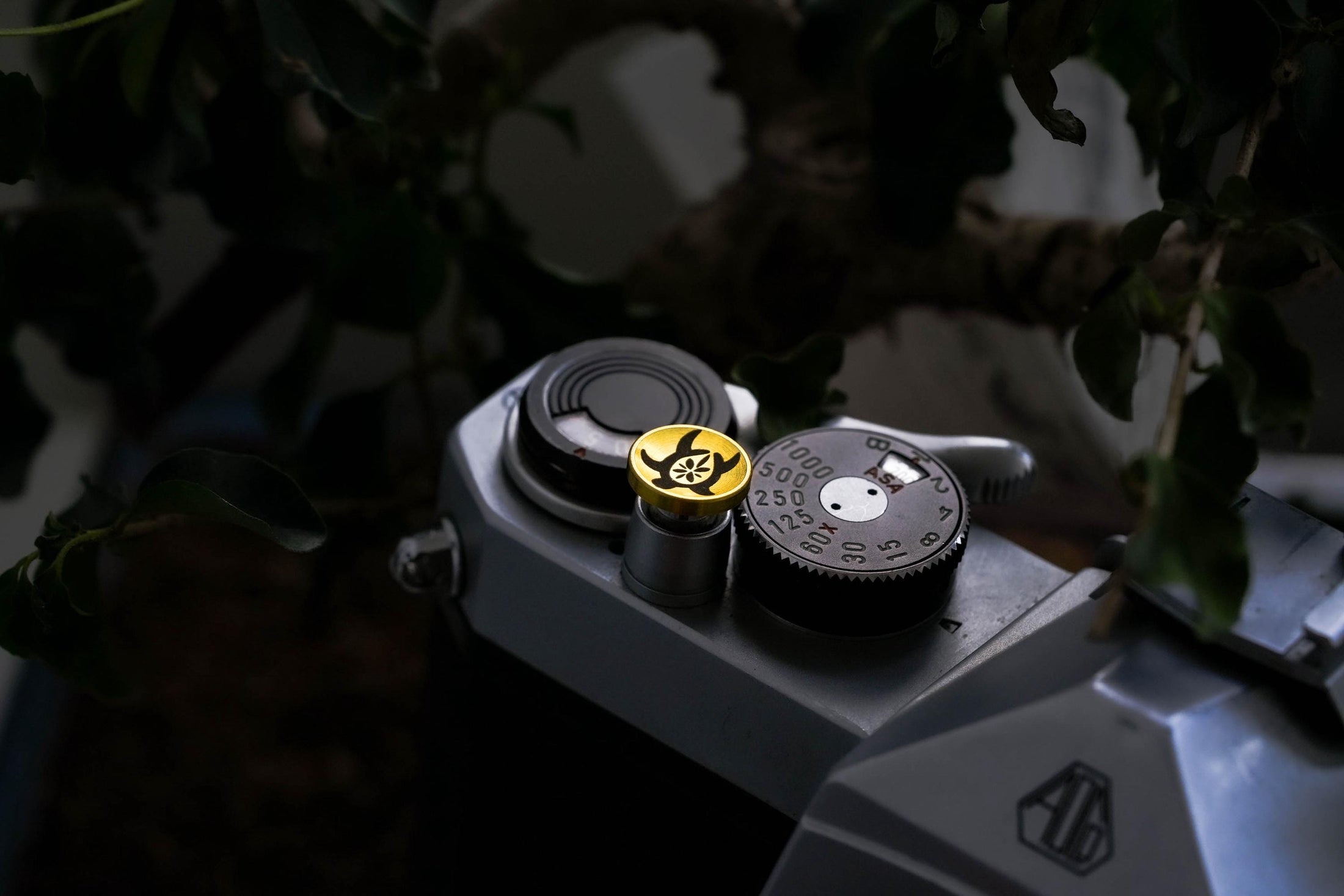 Turtle Design Brass Relax Button - Hawaii Edition