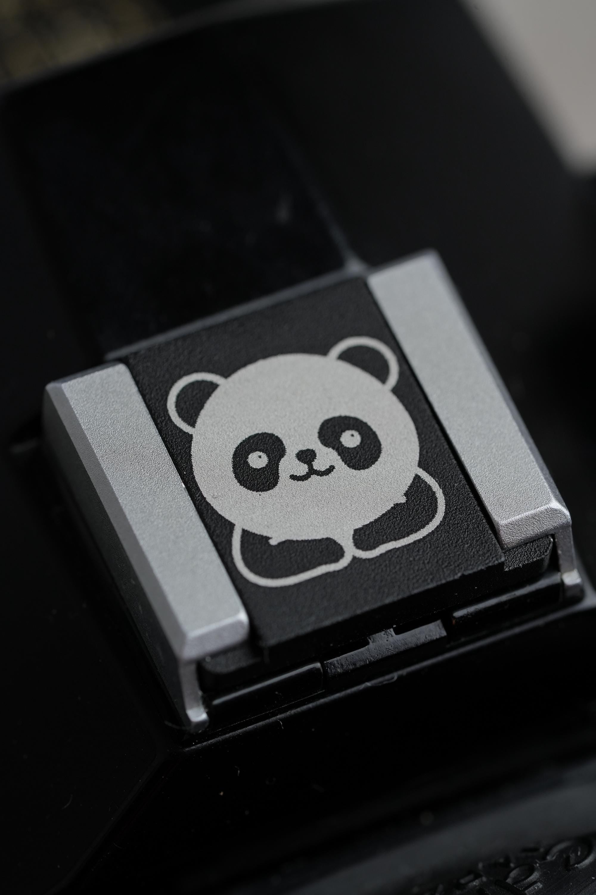 Panda Flitsschoen: Give your camera a cute and unique touch!