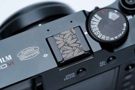 Bamboo Leaves flitsschoendeksel – gelaserd aluminium – zwart gecoat – minimalistisch Japans bladmotief