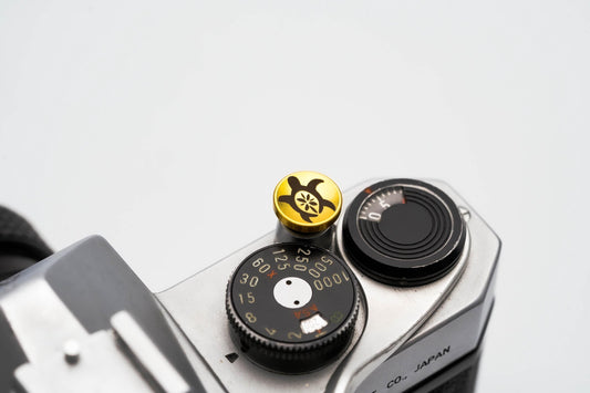 Turtle Design Brass Relax Button - Hawaii Edition